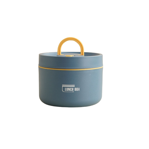 Insulated stainless steel lunchbox with carrying case