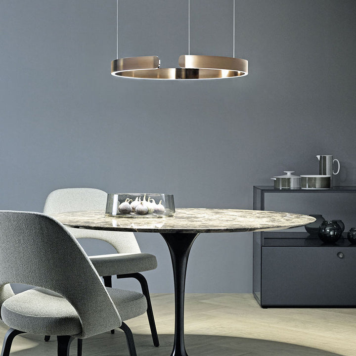 Modern LED pendant light in ring shape with ceiling mounting