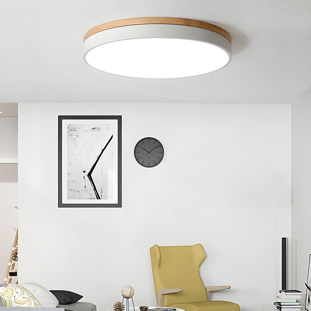 Modern LED ceiling light with a round design for living rooms and bedrooms