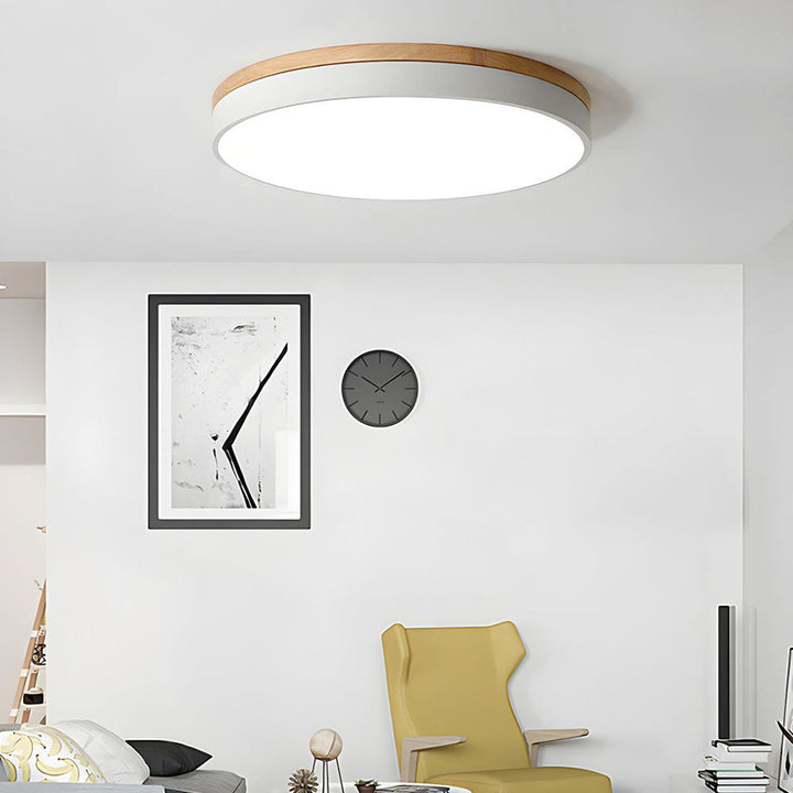 Modern LED ceiling light with a round design for living rooms and bedrooms