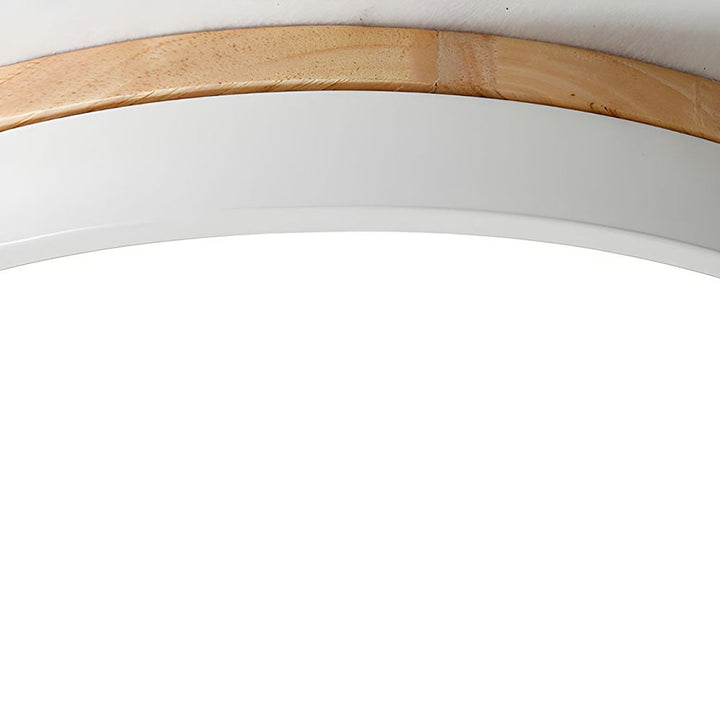 Modern LED ceiling light with a round design for living rooms and bedrooms