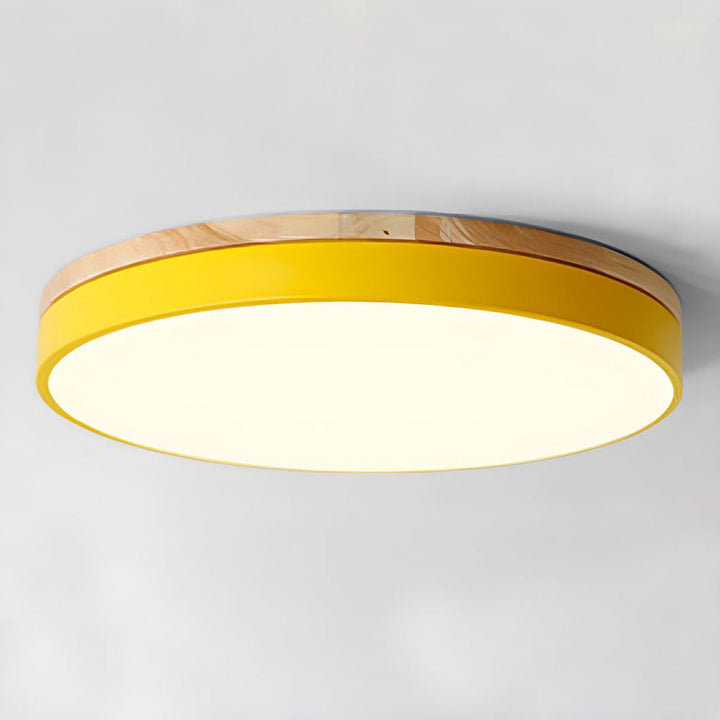 Modern LED ceiling light with a round design for living rooms and bedrooms