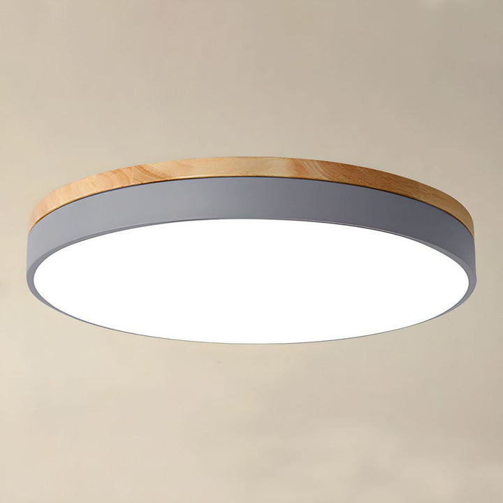 Modern LED ceiling light with a round design for living rooms and bedrooms