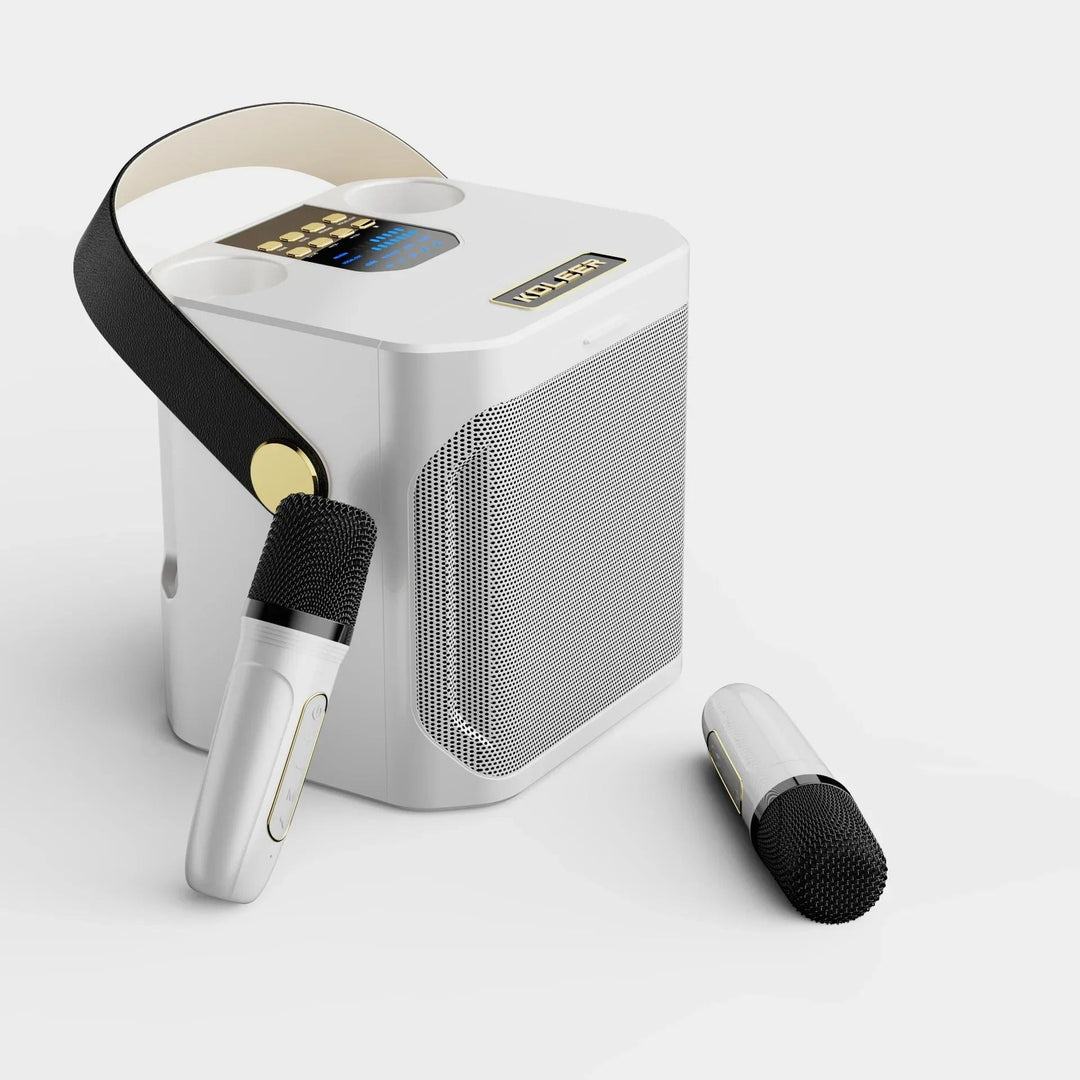 Tragbarer Karaoke Bluetooth Lautsprecher mit 360° Surround und zwei Mikrofonen