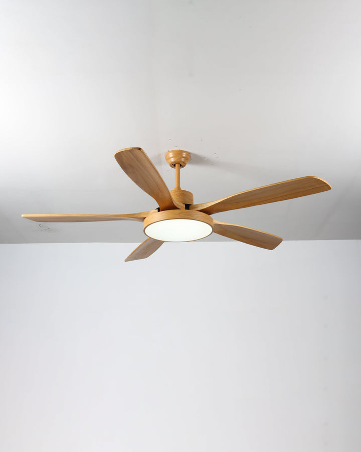 Scandinavian ceiling fan with LED light and reversing motor