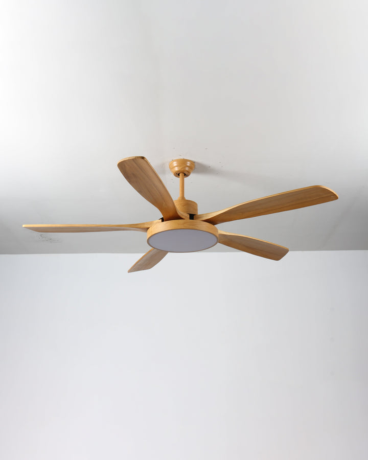 Scandinavian ceiling fan with LED light and reversing motor