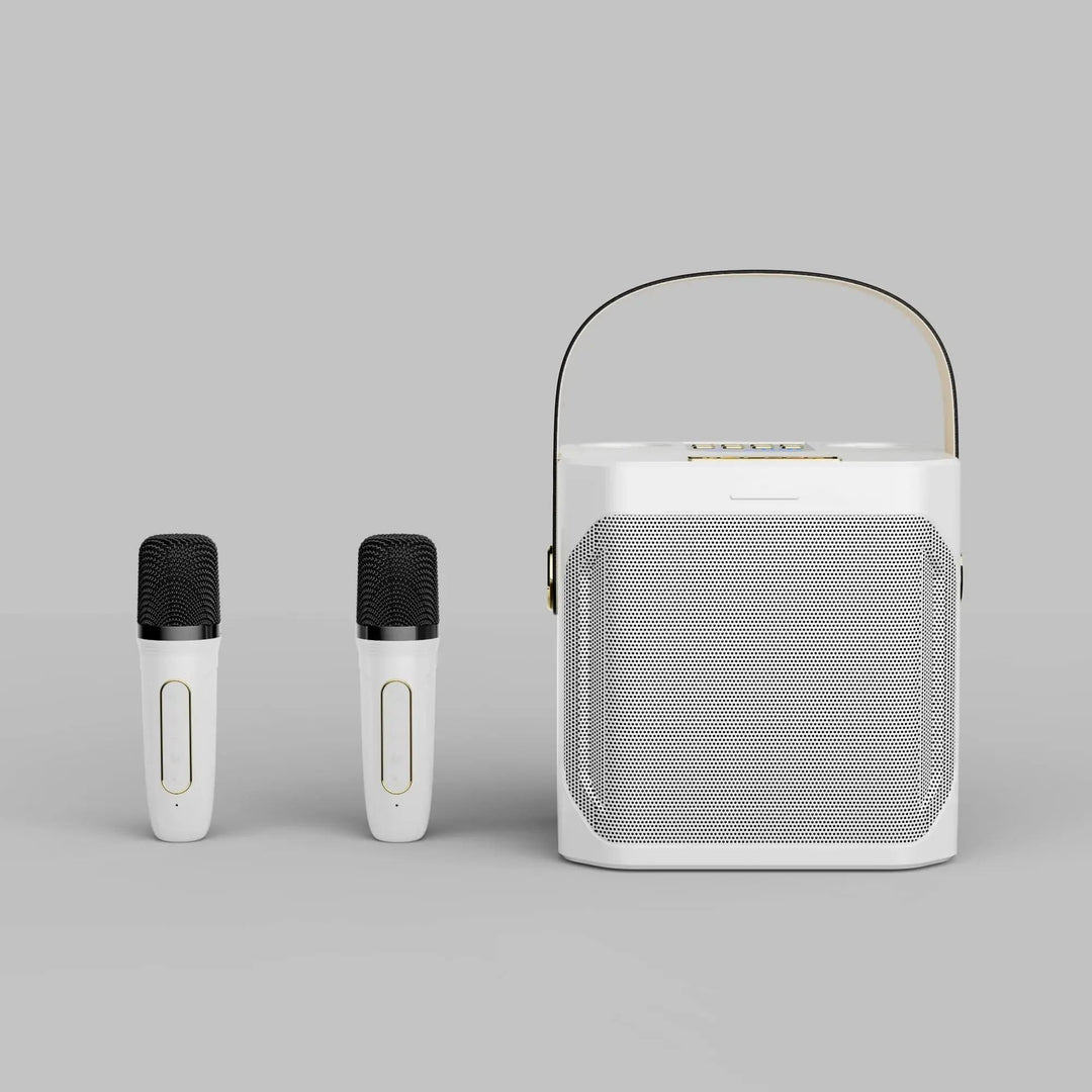 Tragbarer Karaoke Bluetooth Lautsprecher mit 360° Surround und zwei Mikrofonen