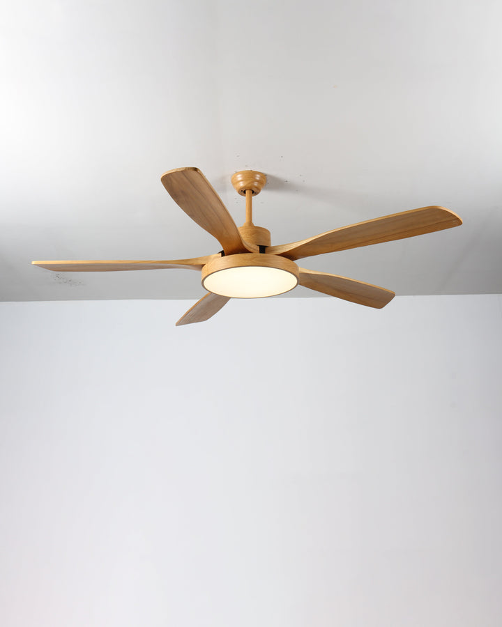 Scandinavian ceiling fan with LED light and reversing motor