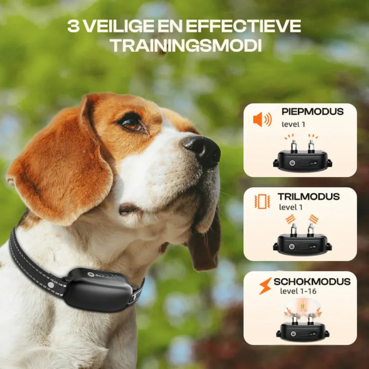 Electric dog collar with remote control – training collar with beep and vibration