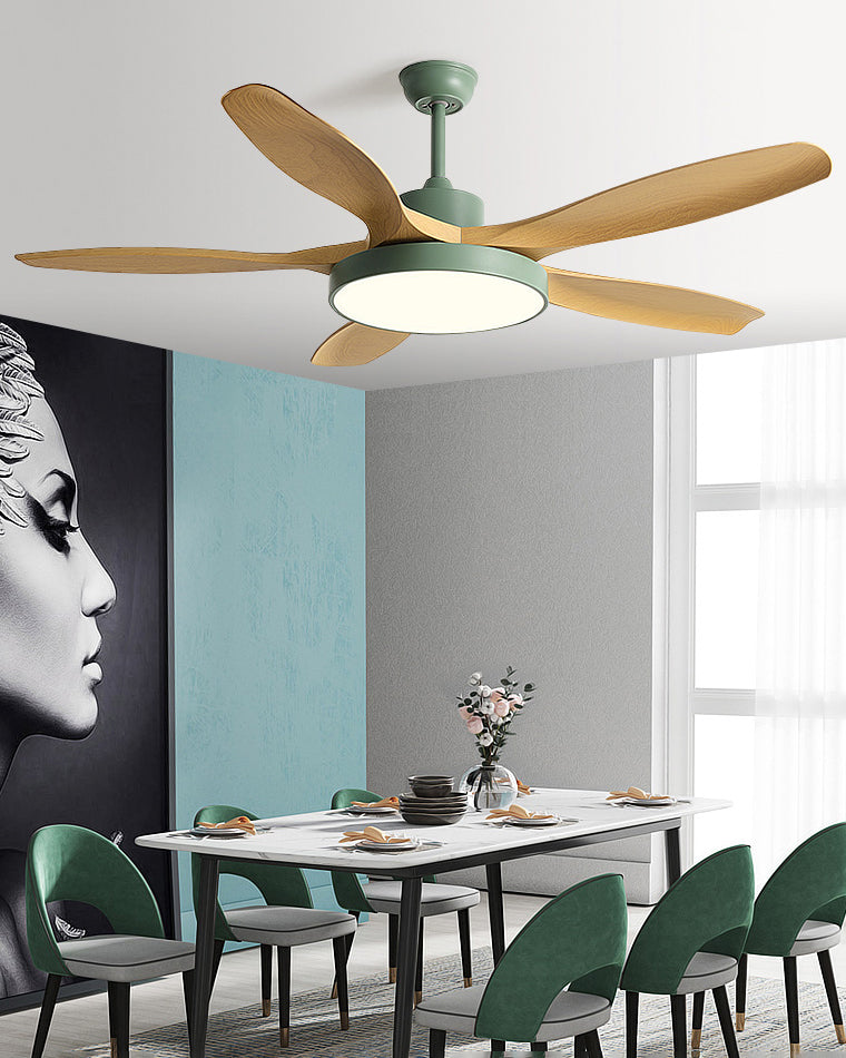 Scandinavian ceiling fan with LED light and reversing motor