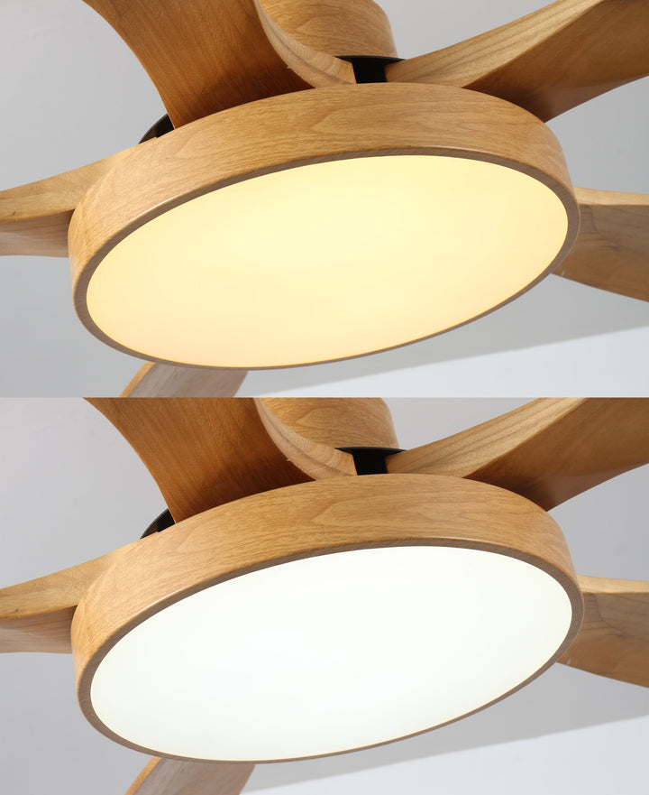 Scandinavian ceiling fan with LED light and reversing motor