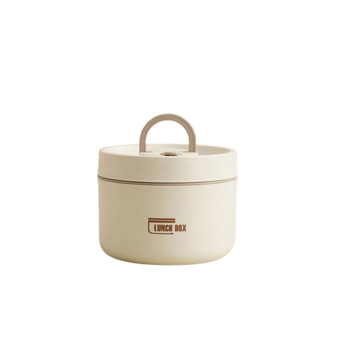Insulated stainless steel lunchbox with carrying case
