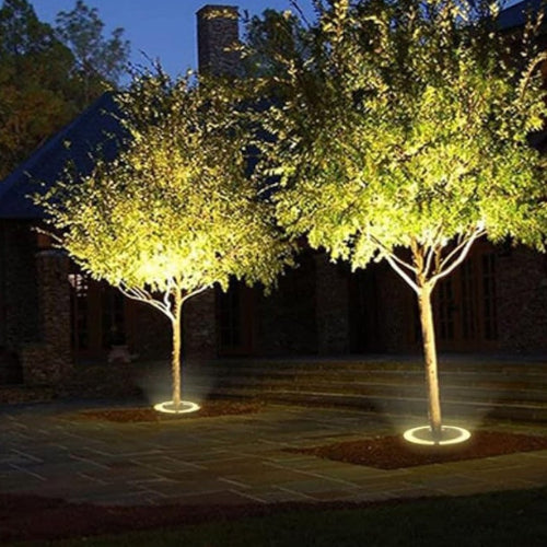 Elegant warm white LED garden spotlights for illuminating trees and landscapes