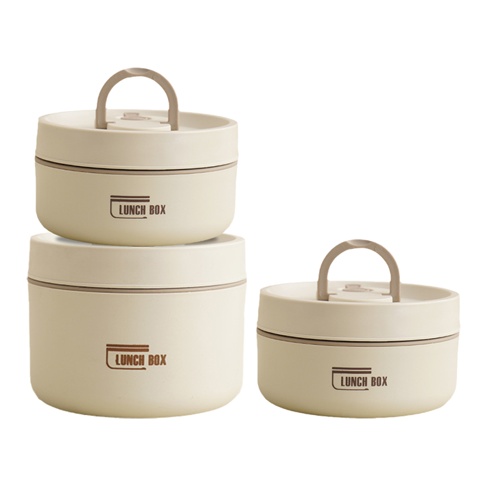Insulated stainless steel lunchbox with carrying case