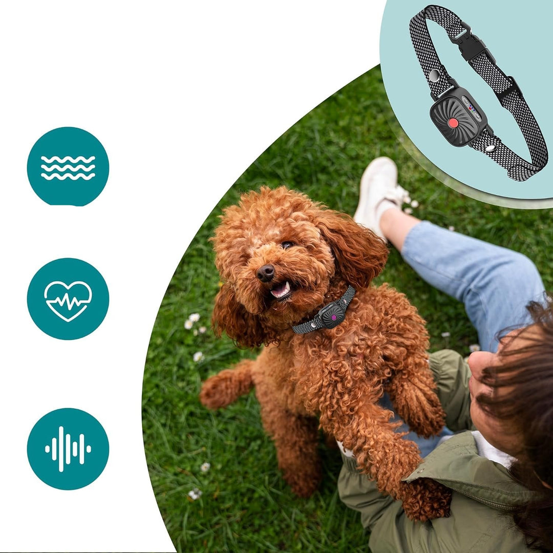 Anti-bark dog collar for gentle noise control
