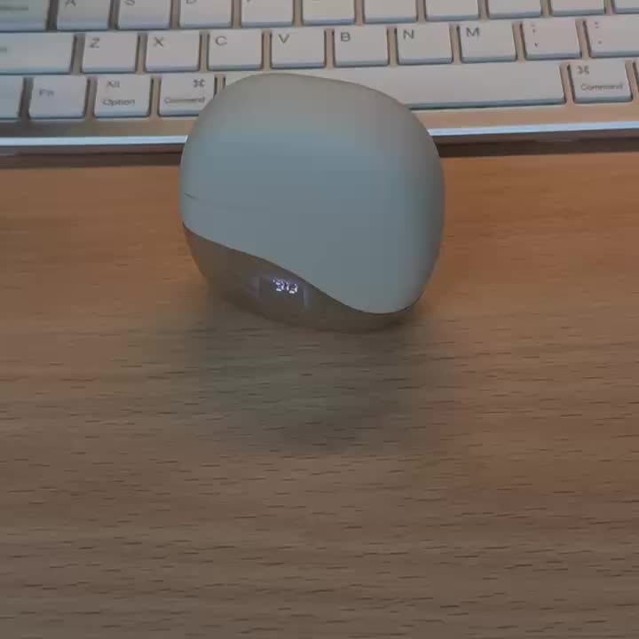 Wireless translation earbuds with real-time voice support