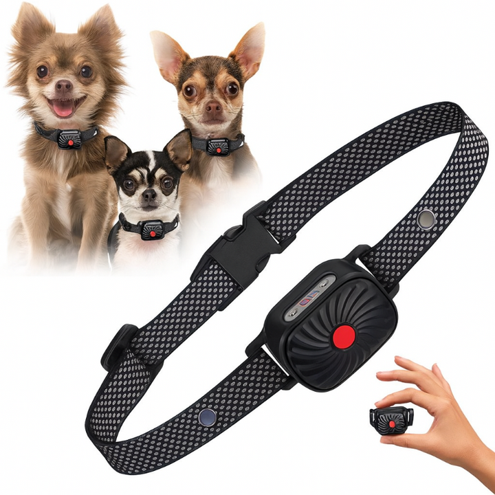 Anti-bark dog collar for gentle noise control