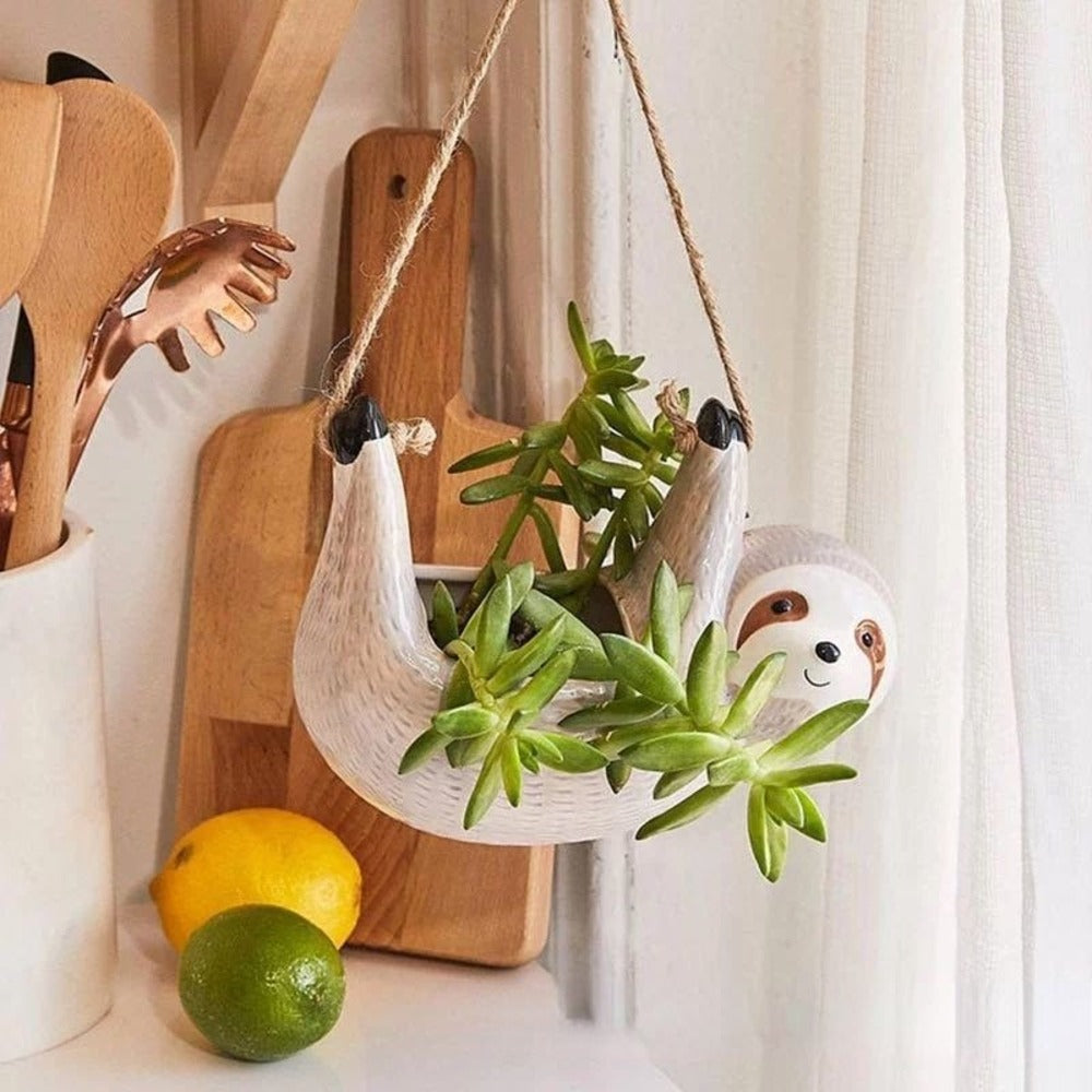 Keramik-Blumentopf im Faultierdesign mit kleiner Sukkulente auf hellem Hintergrund