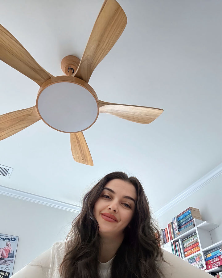 Scandinavian ceiling fan with LED light and reversing motor