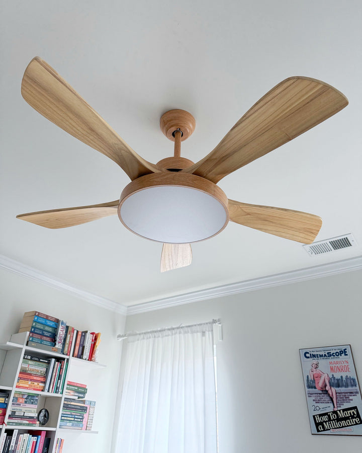 Scandinavian ceiling fan with LED light and reversing motor