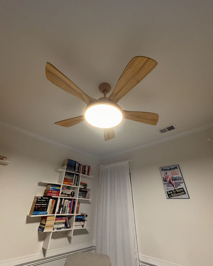 Scandinavian ceiling fan with LED light and reversing motor