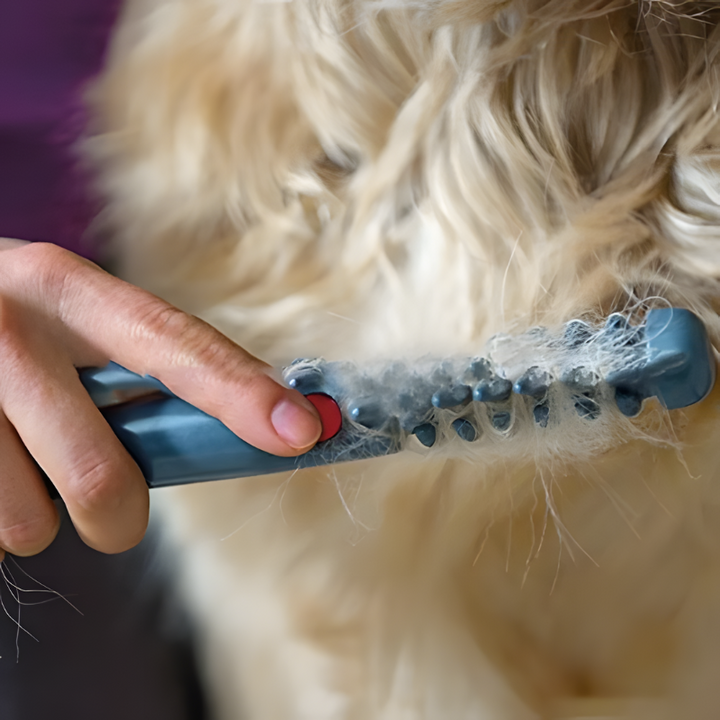 Gentle electric pet hair trimmer