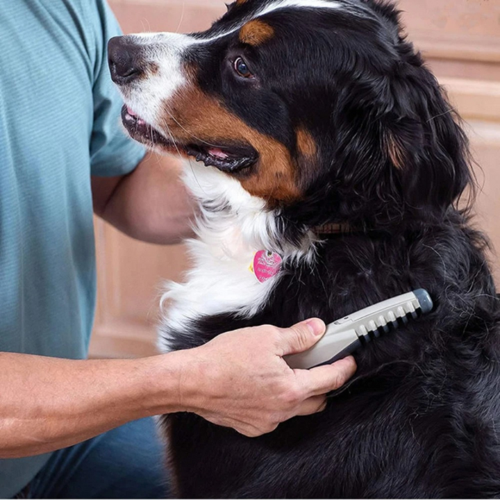 Gentle electric pet hair trimmer