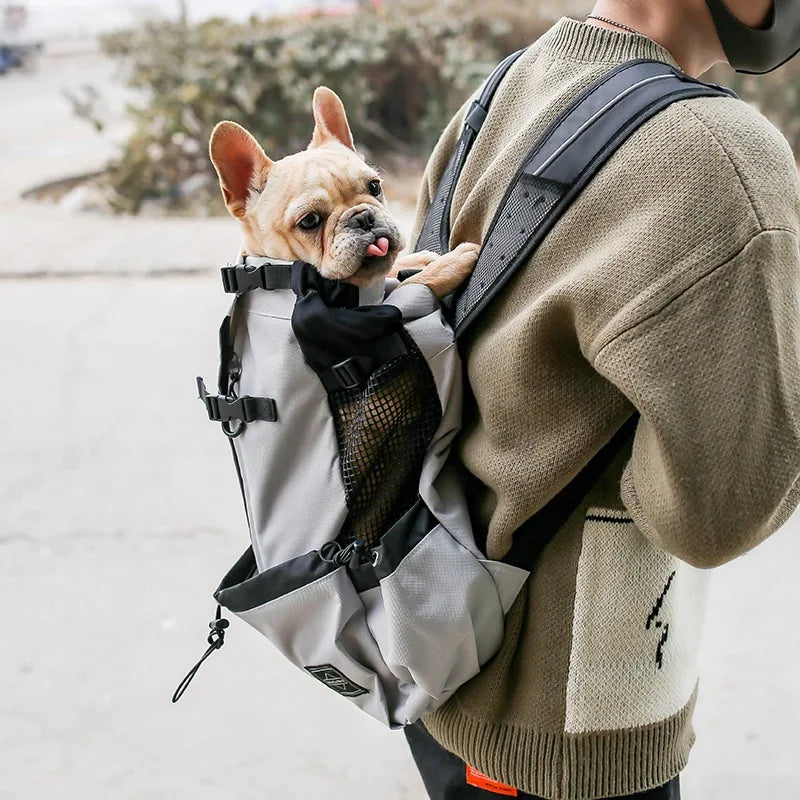 Dog travel bag for small and medium-sized dogs