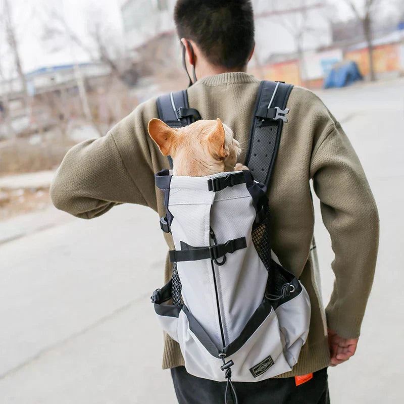 Dog travel bag for small and medium-sized dogs
