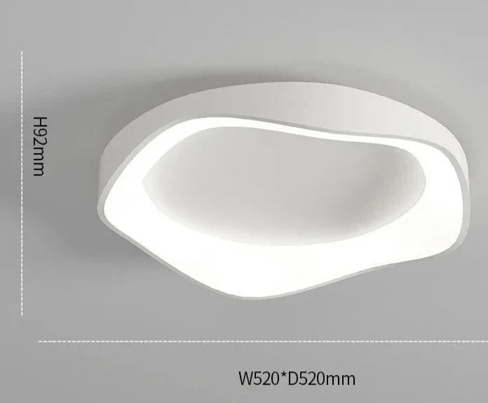 Modern ceiling light – flower shape LED lamp