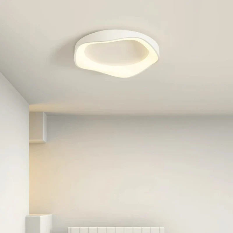 Modern ceiling light – flower shape LED lamp