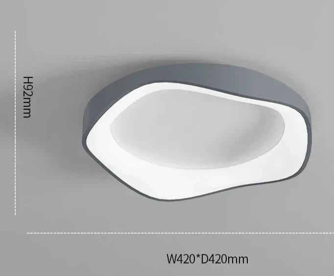 Modern ceiling light – flower shape LED lamp