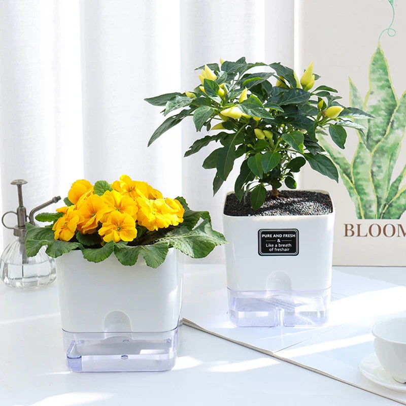Selbstbewässernder Blumentopf aus Kunststoff mit sichtbarer Wasserstandsanzeige