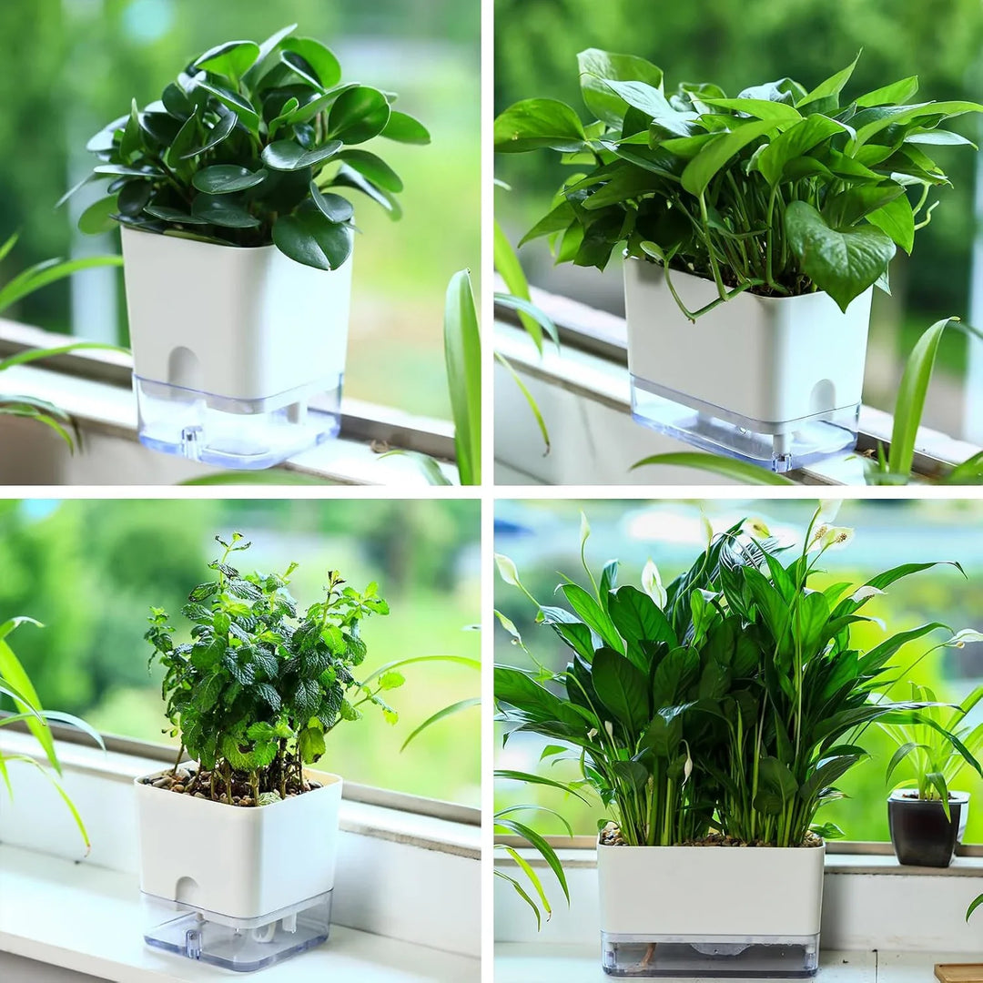 Detailansicht des selbstbewässernden Blumentopfs mit sichtbarem Wasserstand