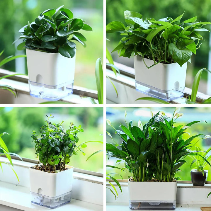 Detailansicht des selbstbewässernden Blumentopfs mit sichtbarem Wasserstand