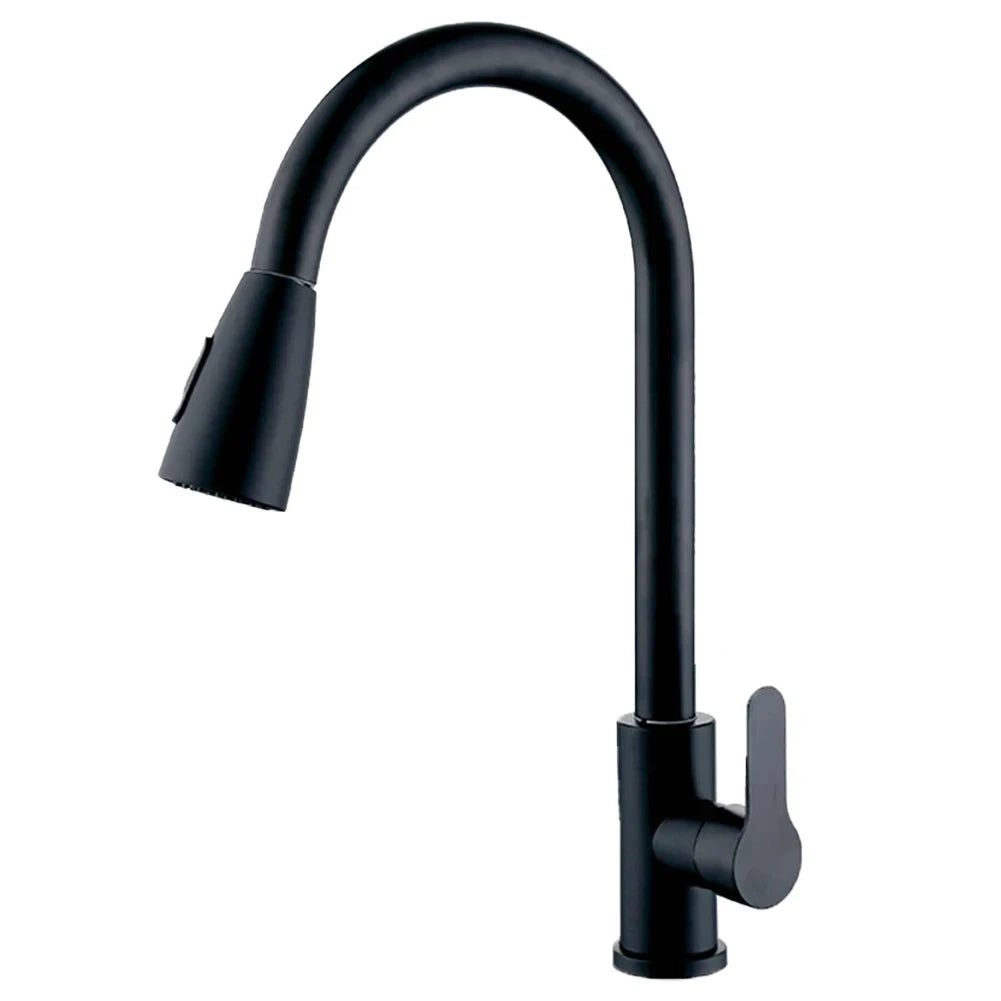Modern kitchen faucet with pull-out spray head