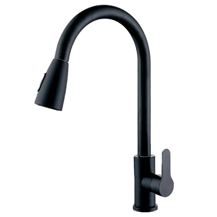 Modern kitchen faucet with pull-out spray head