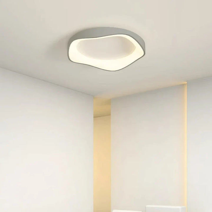 Modern ceiling light – flower shape LED lamp