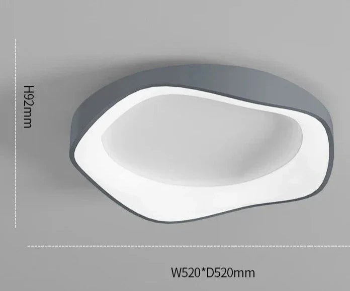 Modern ceiling light – flower shape LED lamp