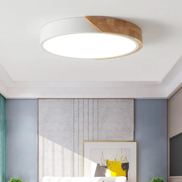 Modern Scandinavian ceiling light for living room and bedroom