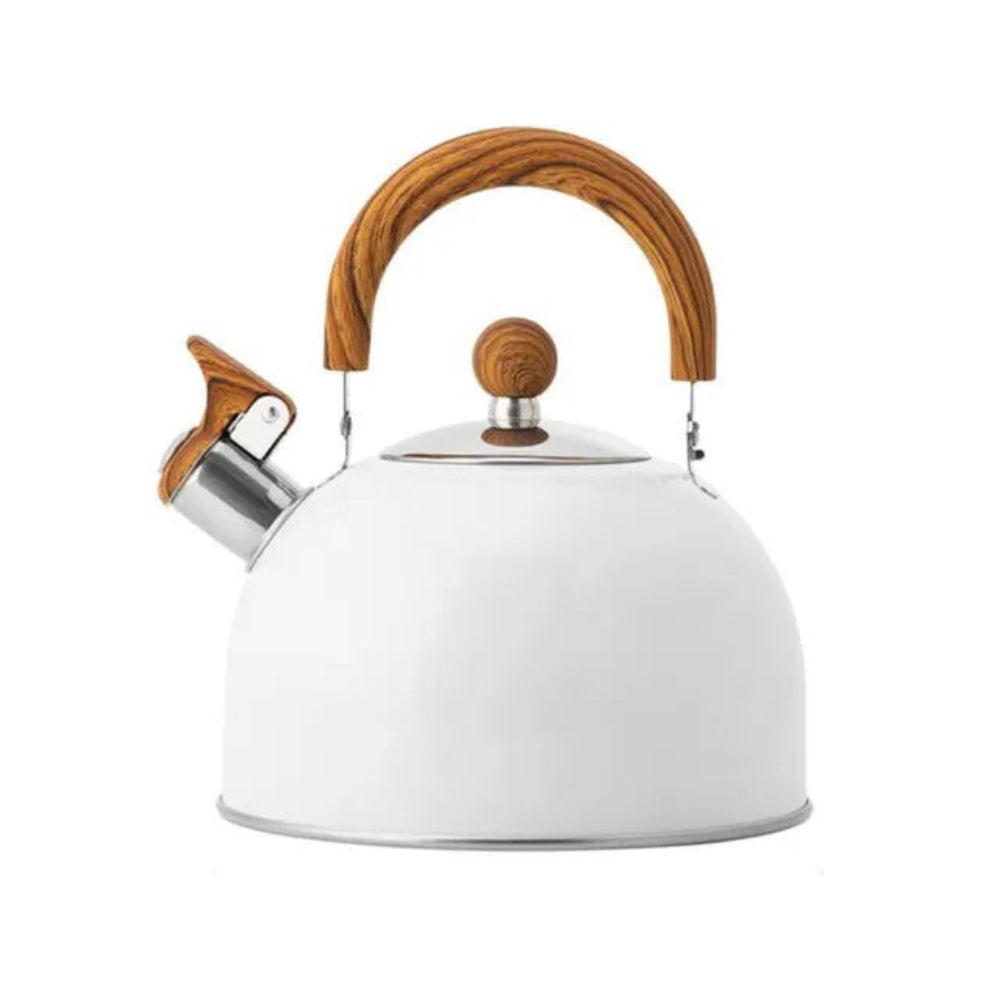 Velvettle stainless steel kettle with whistling sound and elegant design