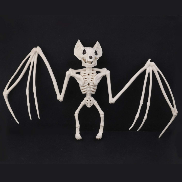 Hanging Skeleton Wall Decoration – Spooky Halloween Decoration for Home &amp; Party