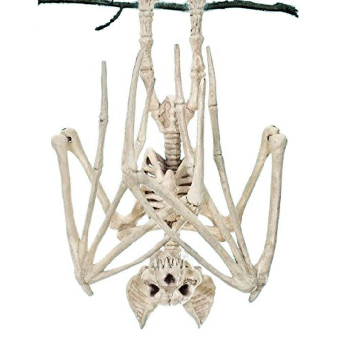 Hanging Skeleton Wall Decoration – Spooky Halloween Decoration for Home &amp; Party