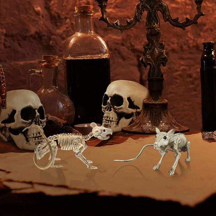 Hanging Skeleton Wall Decoration – Spooky Halloween Decoration for Home &amp; Party