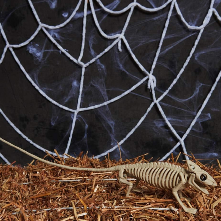 Hanging Skeleton Wall Decoration – Spooky Halloween Decoration for Home &amp; Party