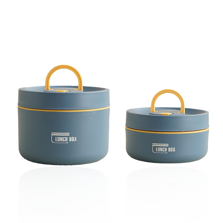Insulated stainless steel lunchbox with carrying case