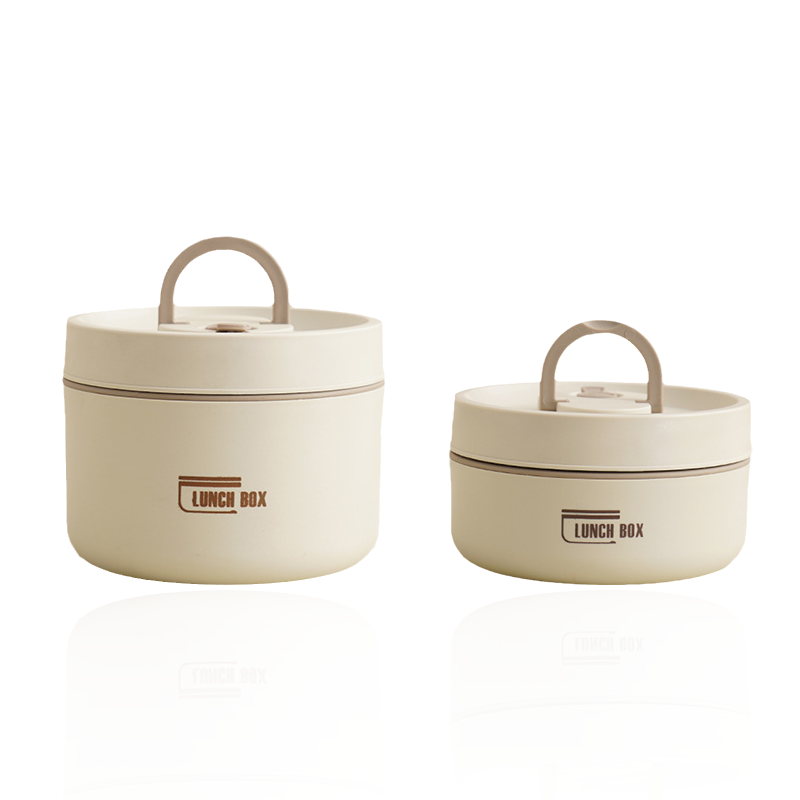 Insulated stainless steel lunchbox with carrying case