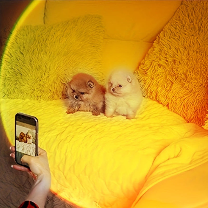 Wall light with LED motion sensor and color change 