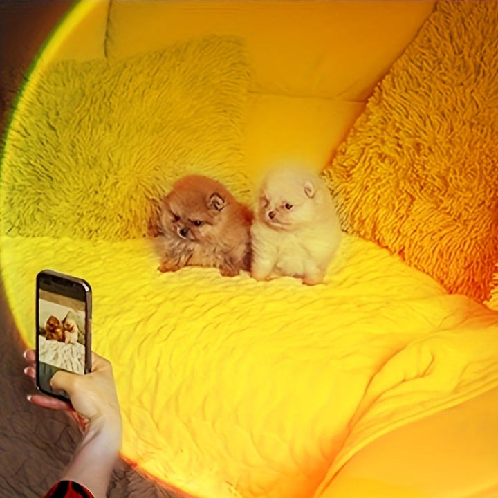 Wall light with LED motion sensor and color change 