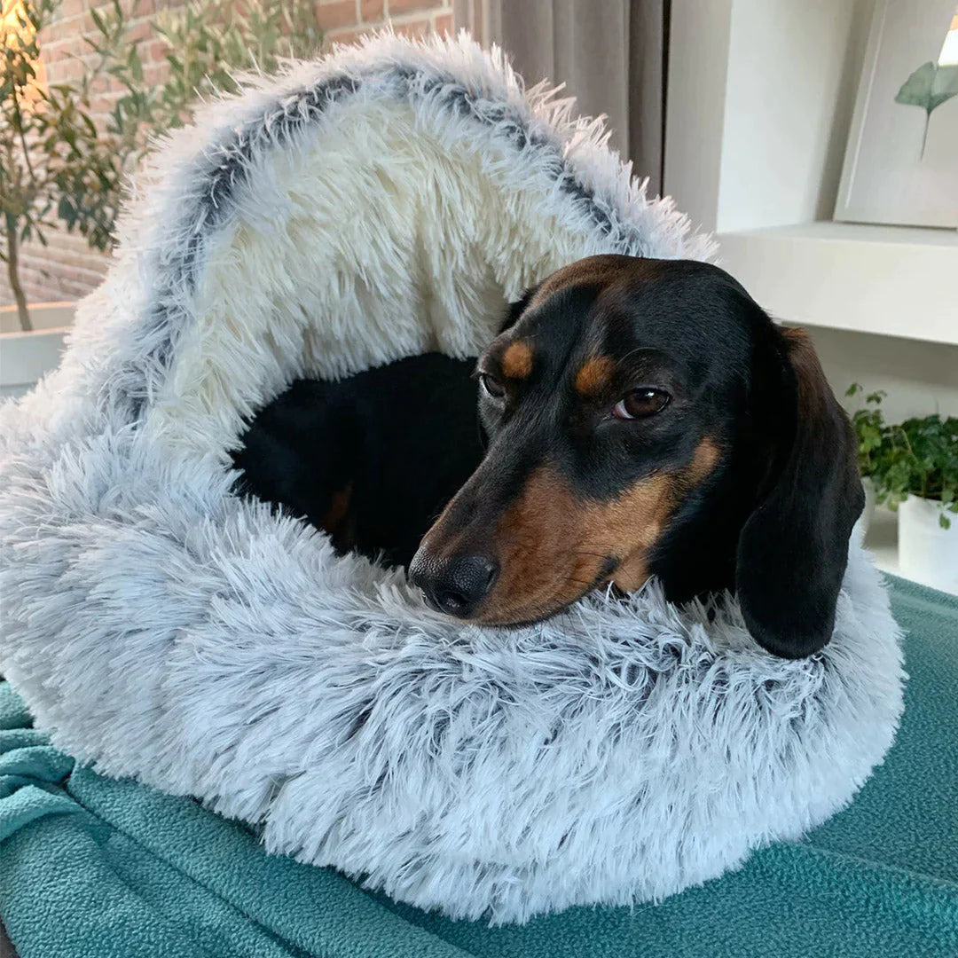 Cozy dog ​​bed in a round design